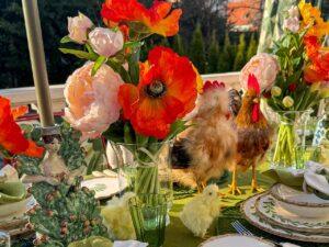 Mohnblumen 3er Set Orange 