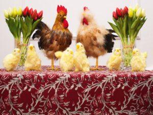Centerpiece Collection - Rooster’s Garden