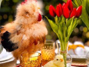 Centerpiece Collection - Rooster’s Garden