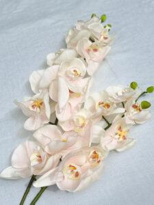 Orchidee Realtouch 