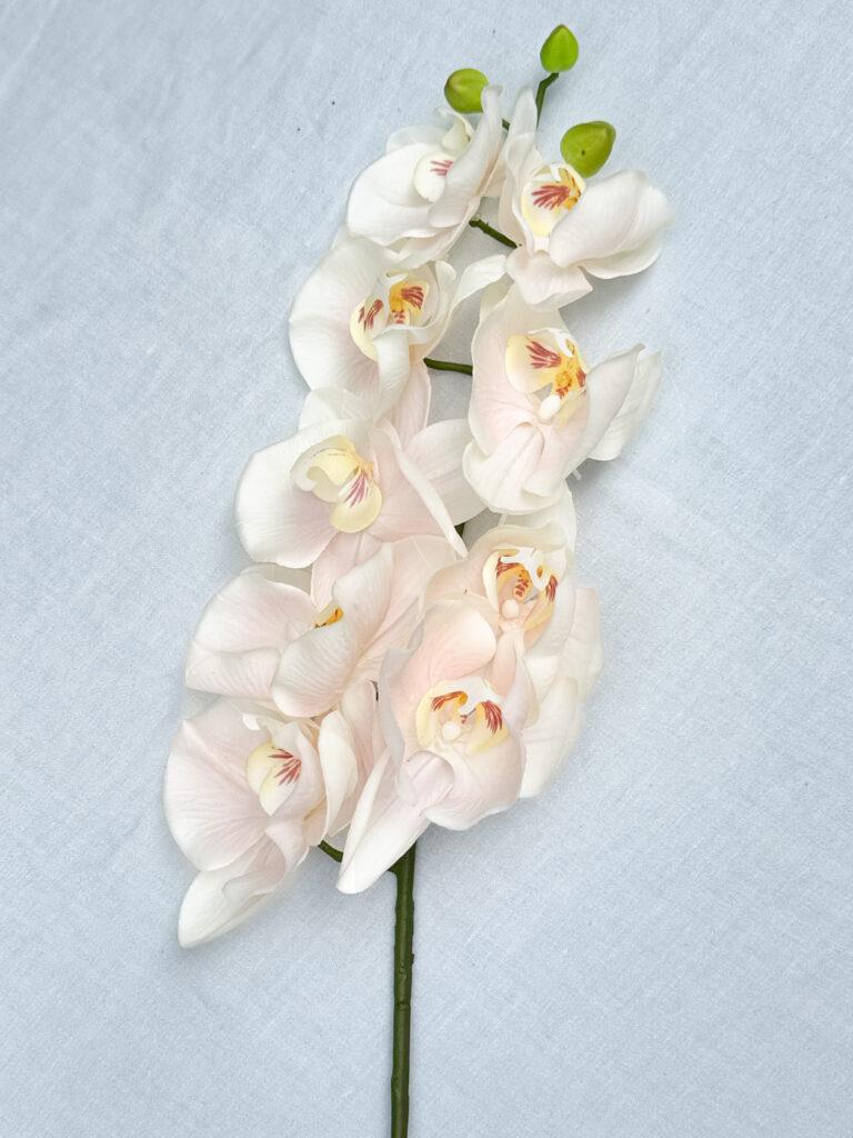 Orchidee Realtouch 
